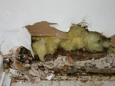 About Water Damage Restoration Houston TX - water damage restoration experts in Houston, TX